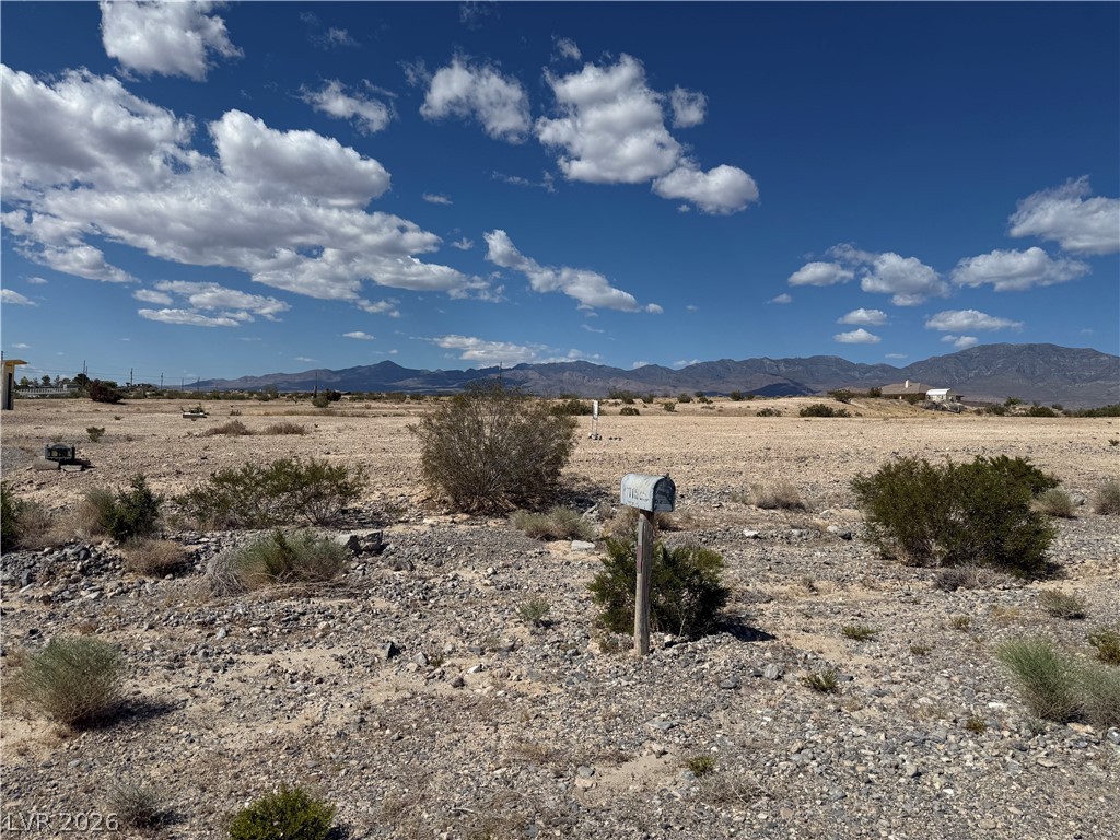 1230 East Irene Street Pahrump NV 89060
