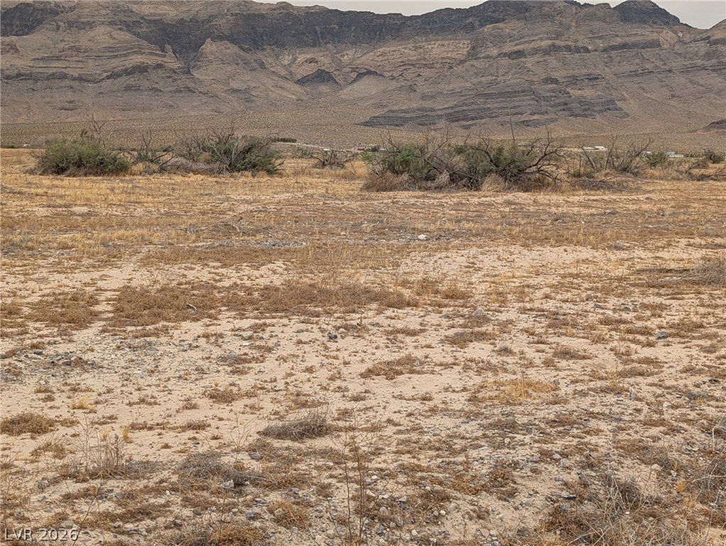 5900 North Fitzroy Avenue Pahrump NV 89060