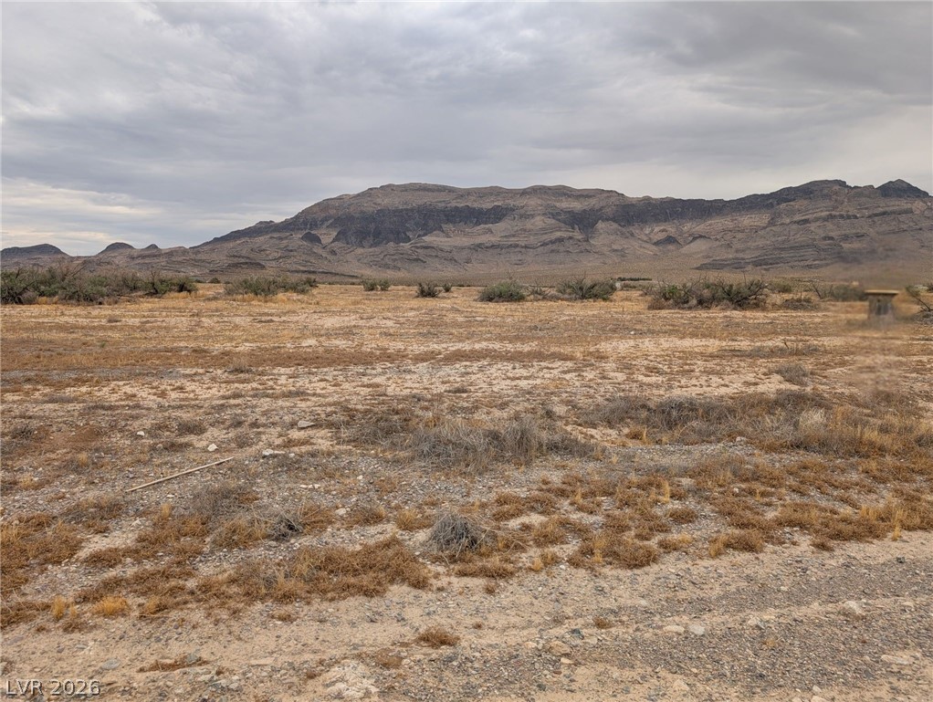 5900 North Fitzroy Avenue Pahrump NV 89060