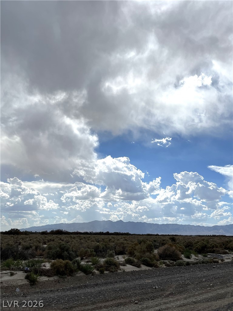 3901 East Gamebird Road Pahrump NV 89048