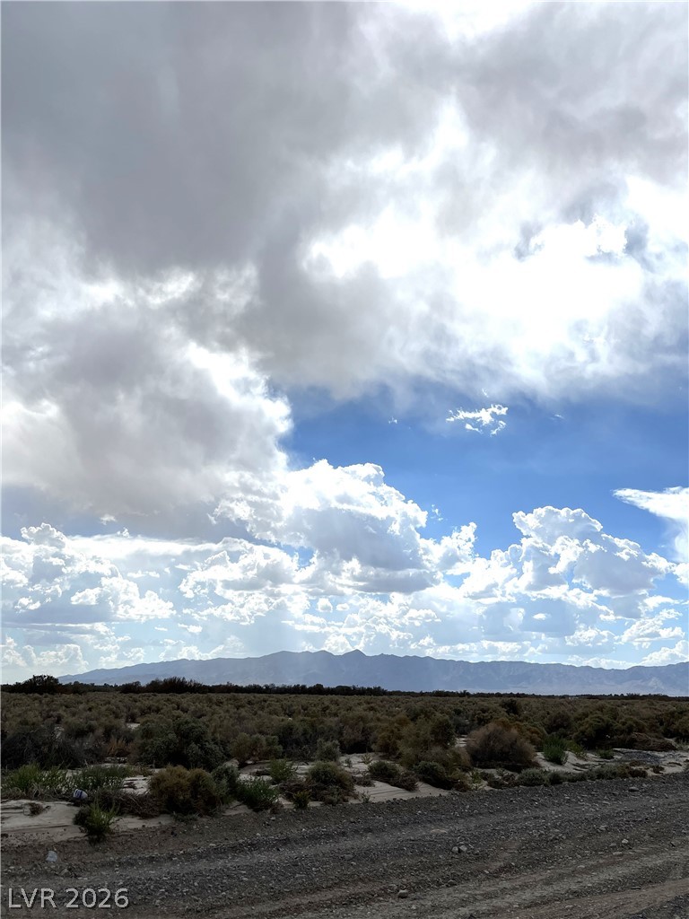 3901 East Gamebird Road Pahrump NV 89048
