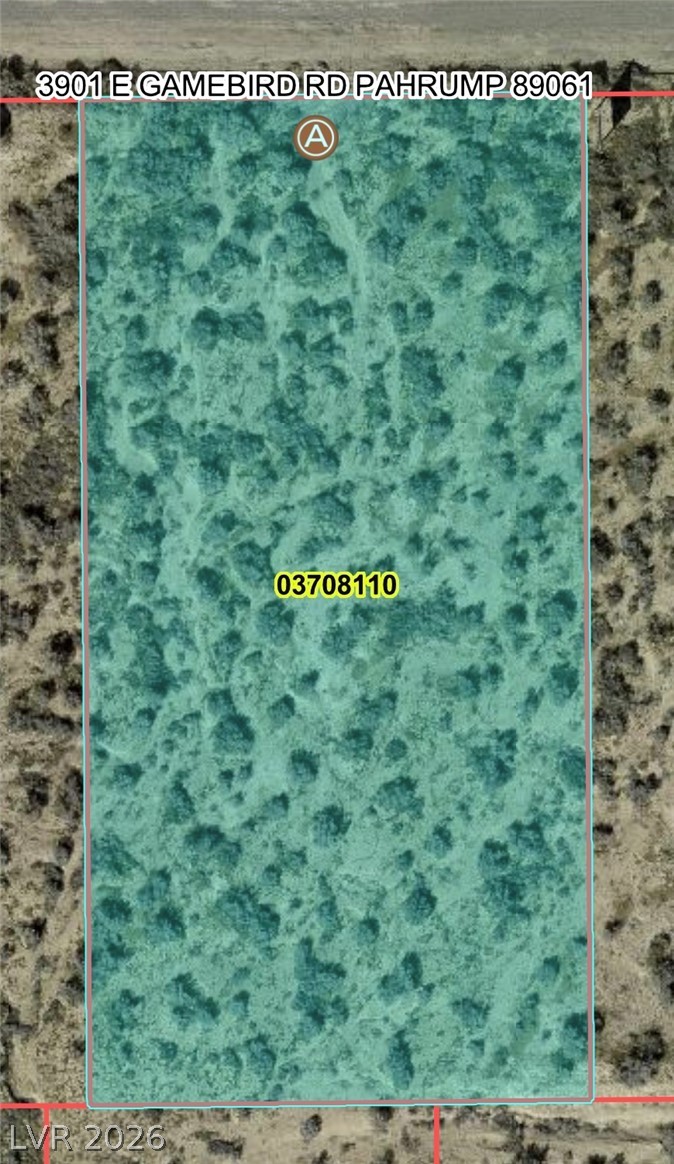 3901 East Gamebird Road Pahrump NV 89048