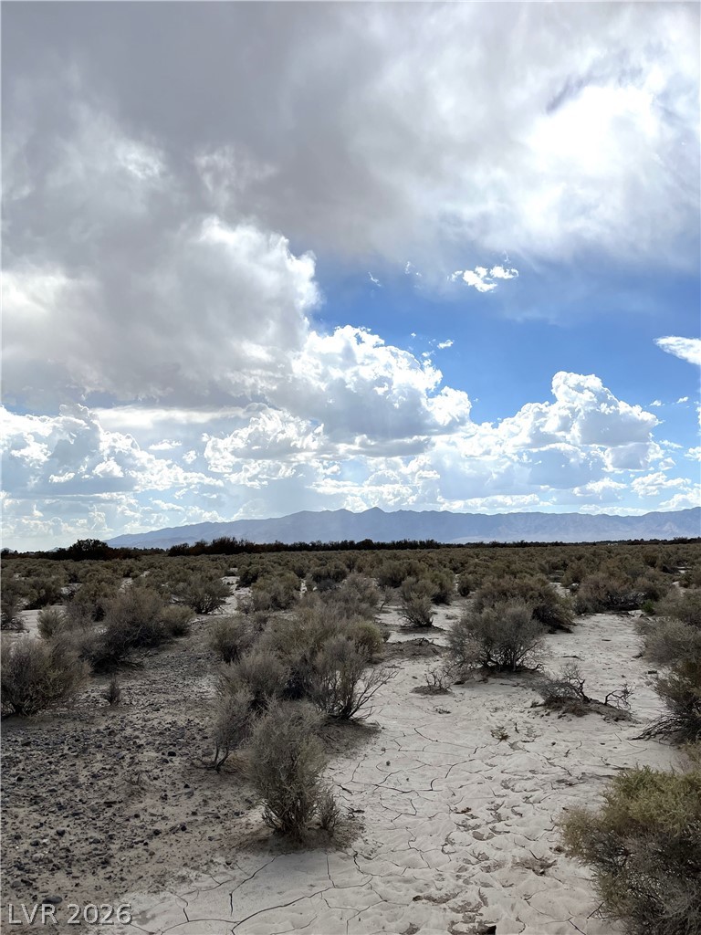 3901 East Gamebird Road Pahrump NV 89048