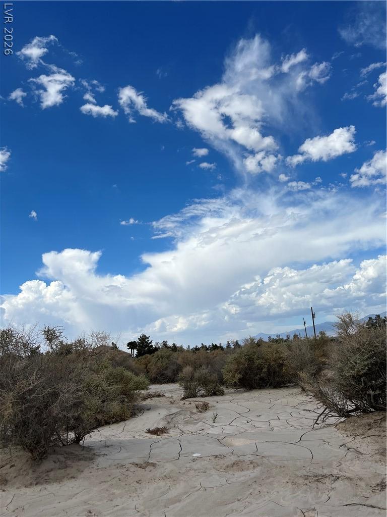 3901 East Gamebird Road Pahrump NV 89048