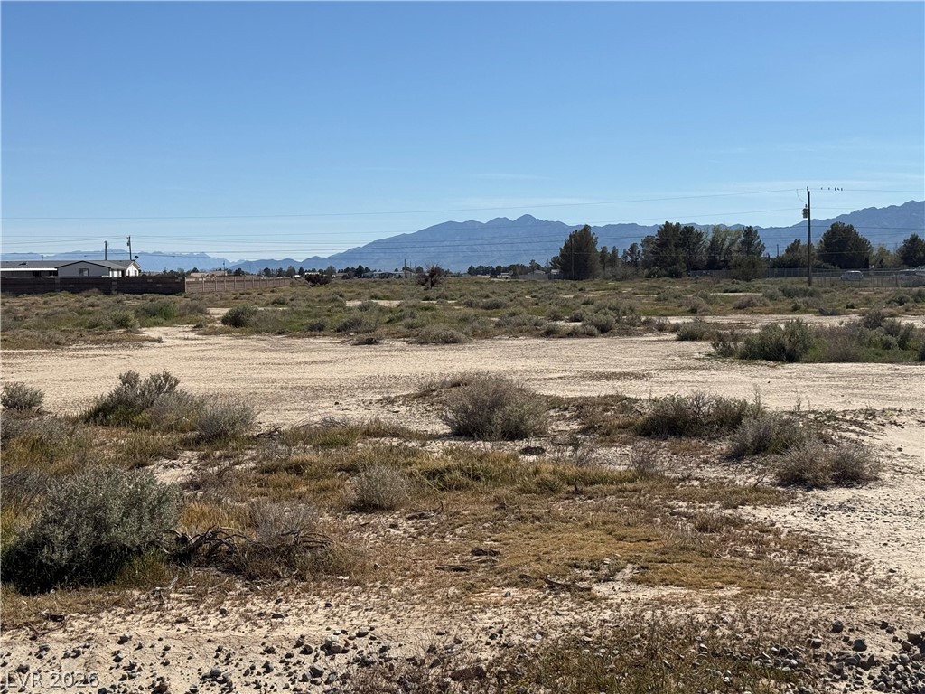 2731 Tough Girl Road Pahrump NV 89060