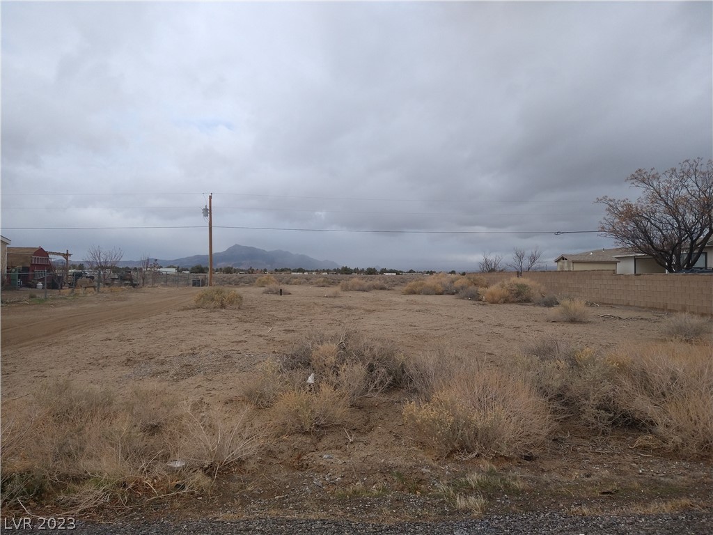 2790 Rio Rico Drive 4 Pahrump NV 89048