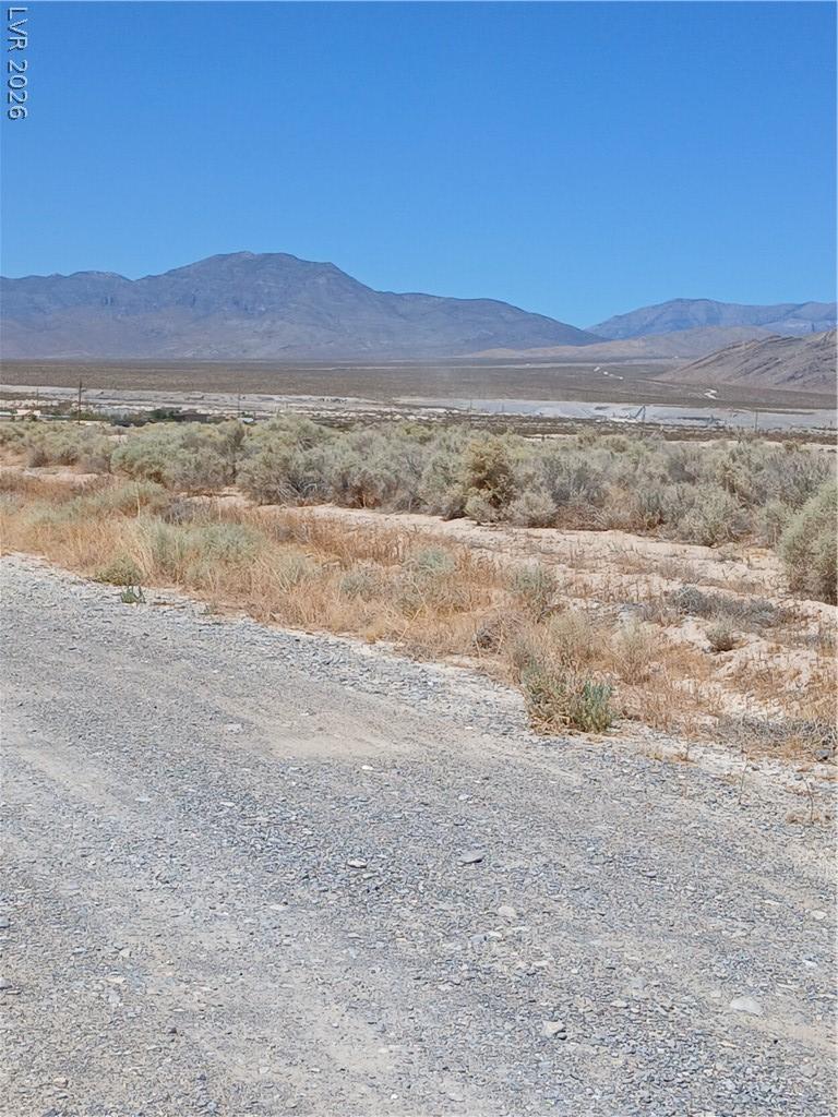 3981 South Lookout Avenue Pahrump NV 89048