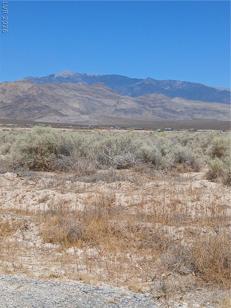 3981 South Lookout Avenue Pahrump NV 89048