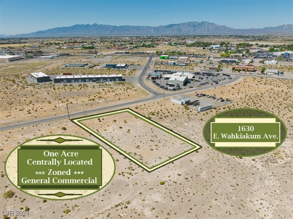 1630 East Wahkiakum Avenue Pahrump NV 89048