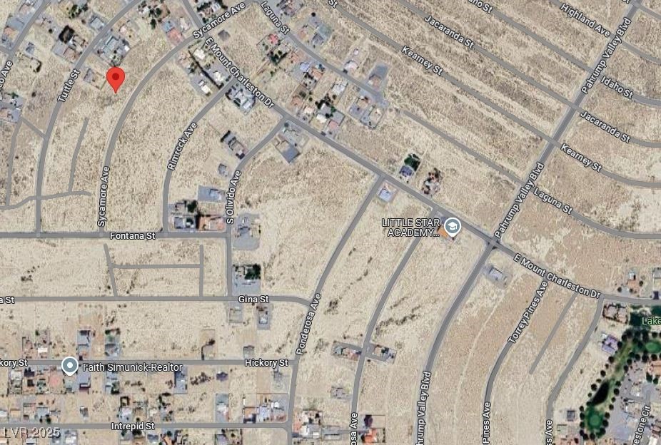 2510 South Sycamore Avenue Pahrump NV 89048