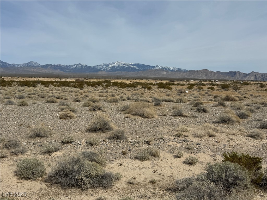 731 North Emery Street Pahrump NV 89060