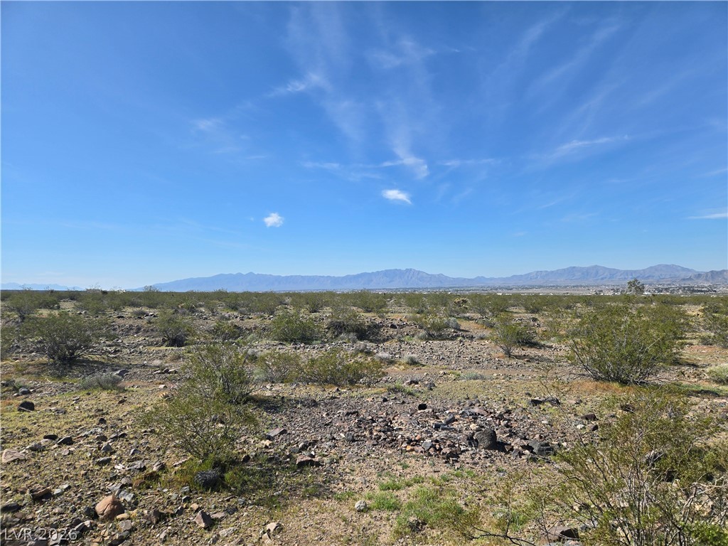 2301 East Saddleback Drive Pahrump NV 89060