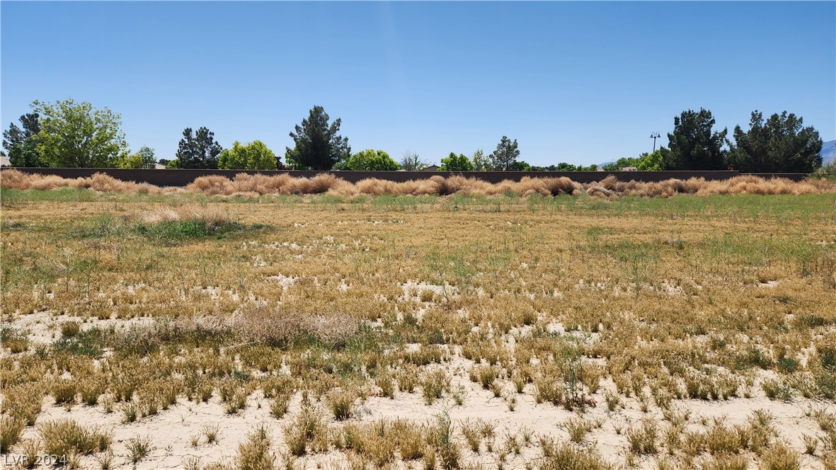 5021 East Yucca Springs Road Pahrump NV 89048