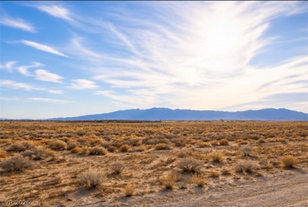 4481 East Gamebird Road Pahrump NV 89048
