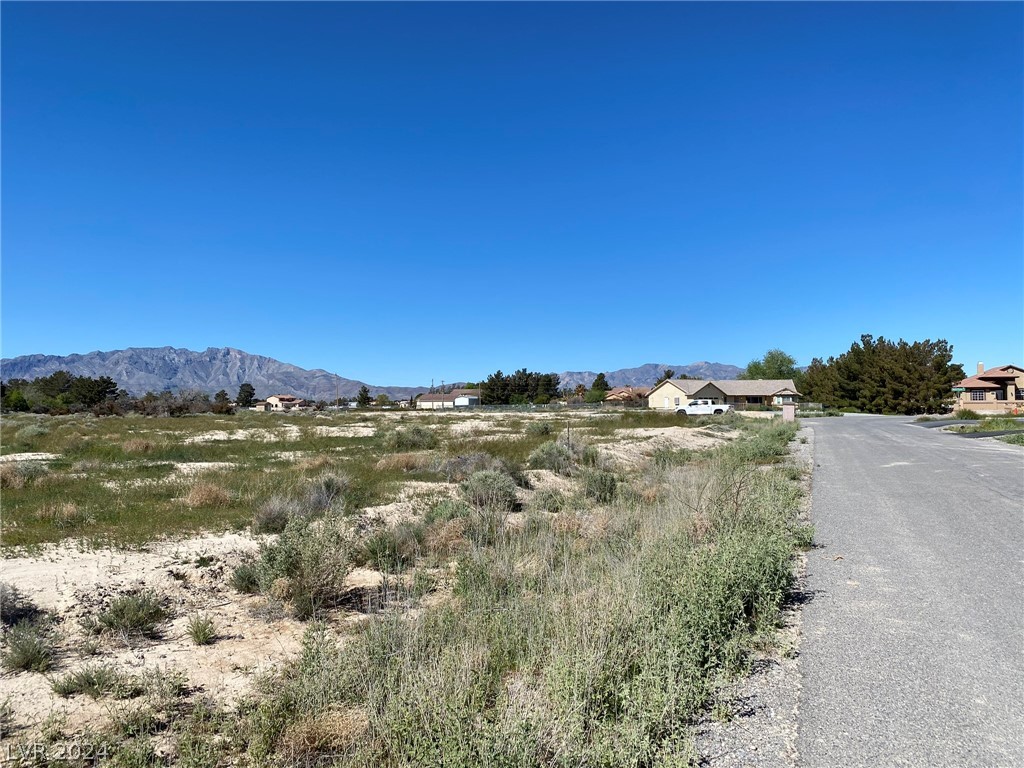 1161 Lupin Street Pahrump NV 89048
