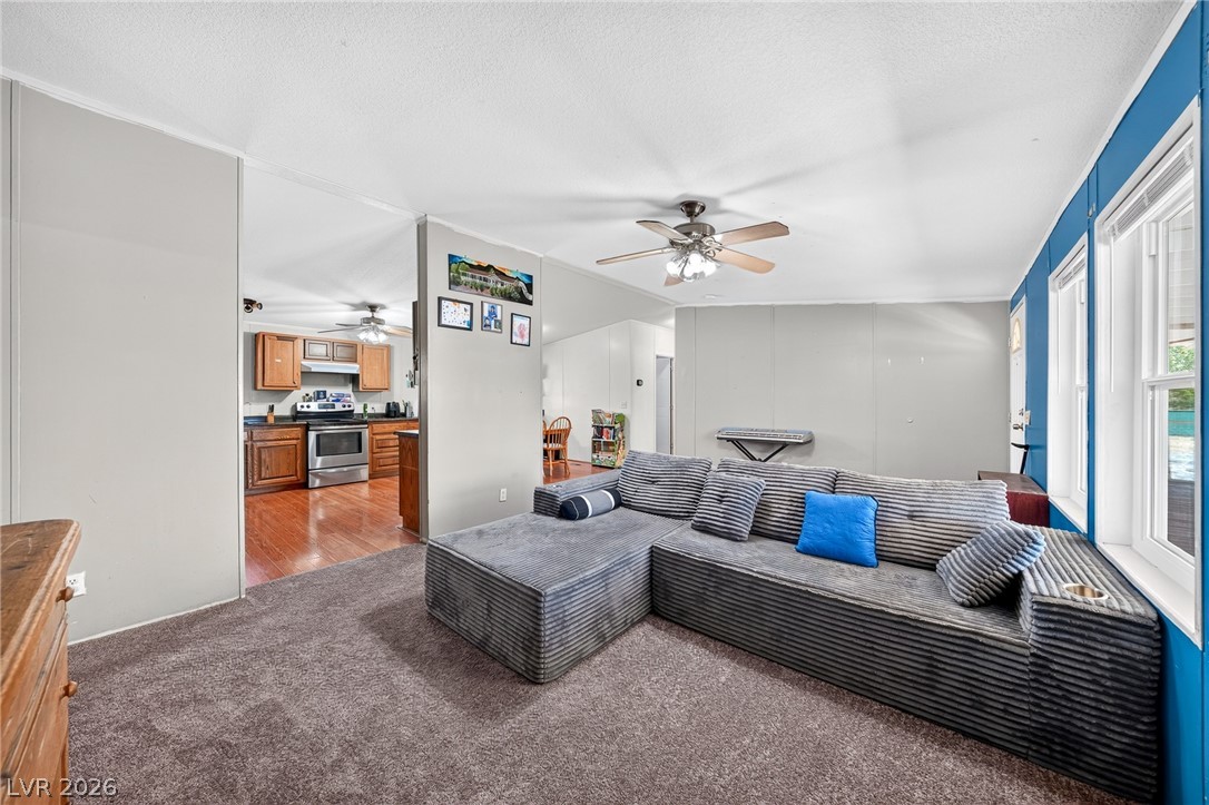 3330 Mason Drive 6 Pahrump NV 89060