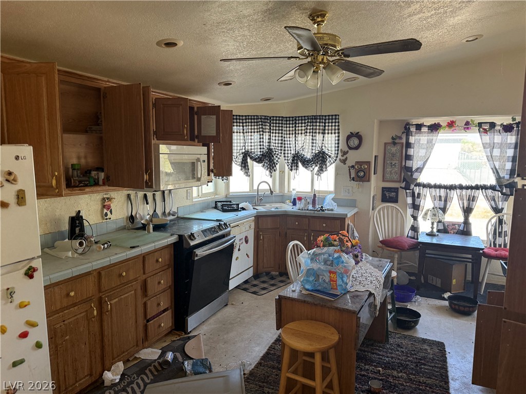 3860 Malibou Avenue Pahrump NV 89048