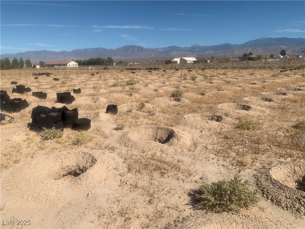 961 West Elderberry Street Pahrump NV 89048