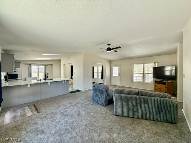 3120 South Summerwood Street Pahrump NV 89048