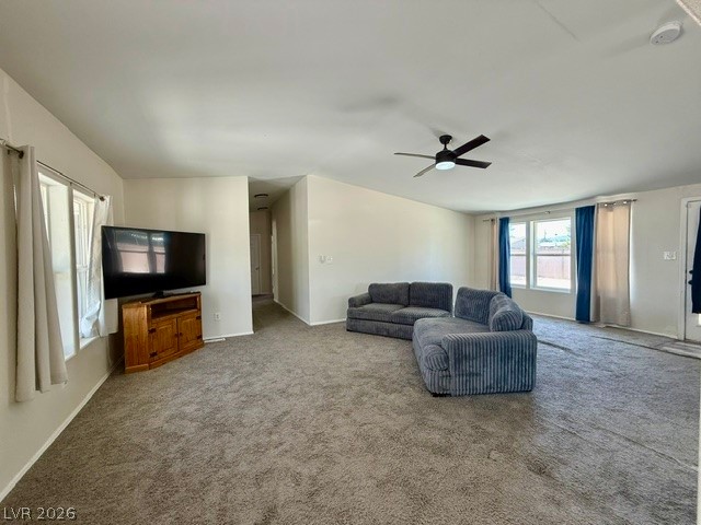 3120 South Summerwood Street Pahrump NV 89048