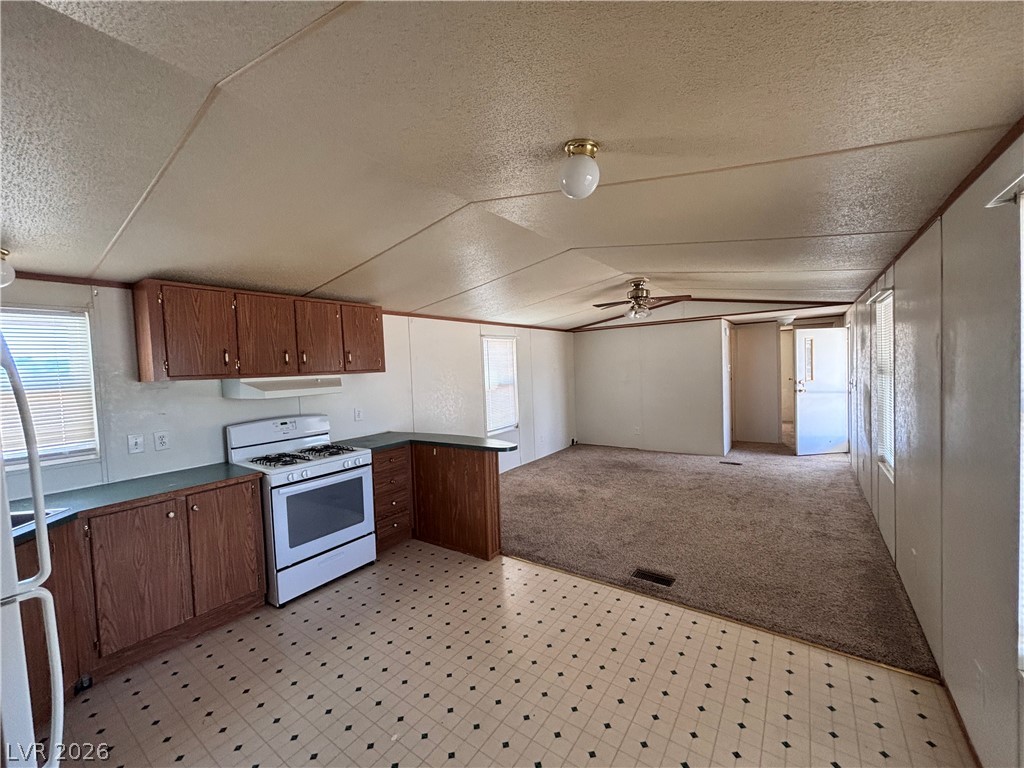 3851 West Donner Street Pahrump NV 89048
