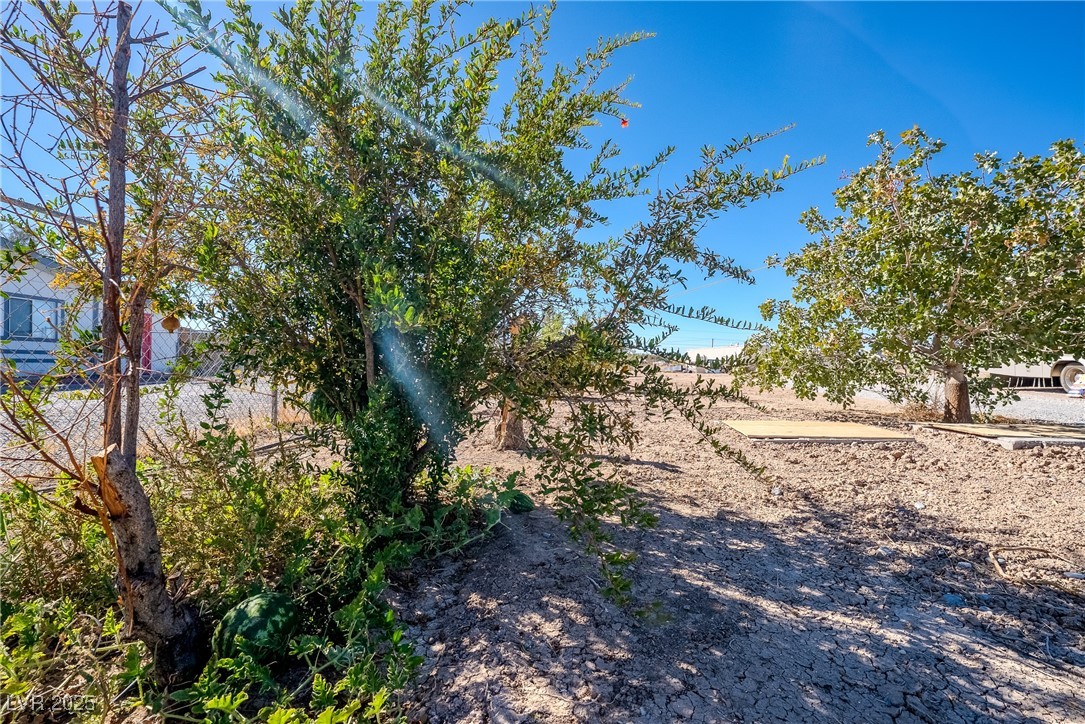 2140 Appaloosa Lane Pahrump NV 89060