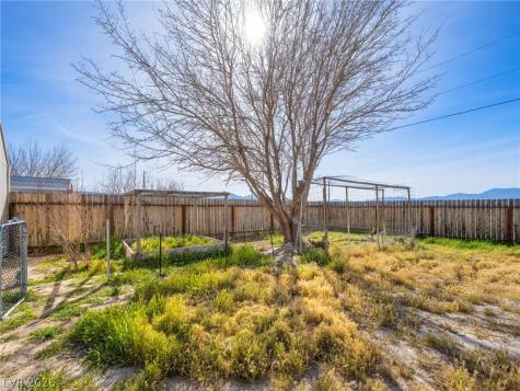 931 Eagle Avenue Sandy Valley NV 89019
