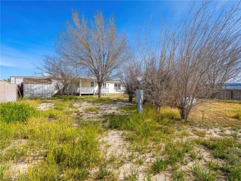 931 Eagle Avenue Sandy Valley NV 89019