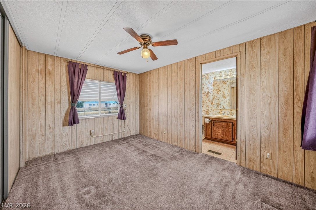 6231 South Paula Drive 3 Pahrump NV 89048