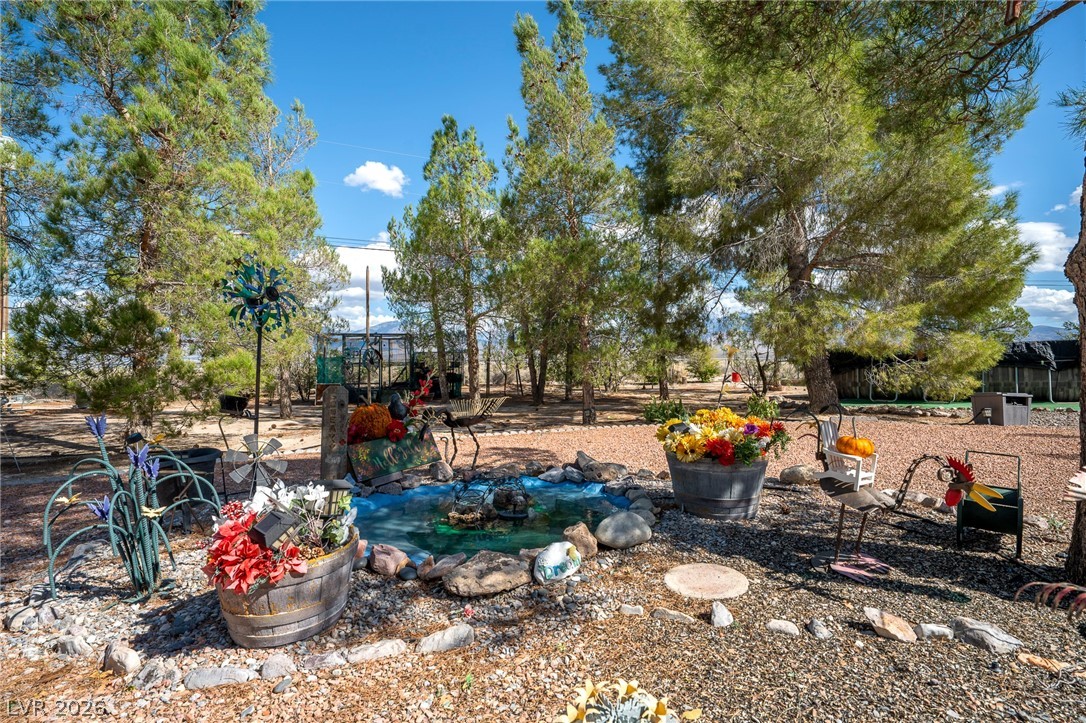 1920 Mount Charleston Drive Pahrump NV 89048