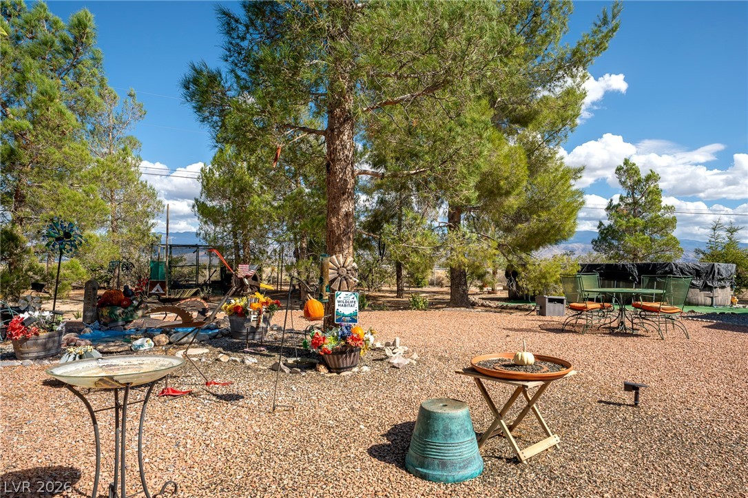 1920 Mount Charleston Drive Pahrump NV 89048