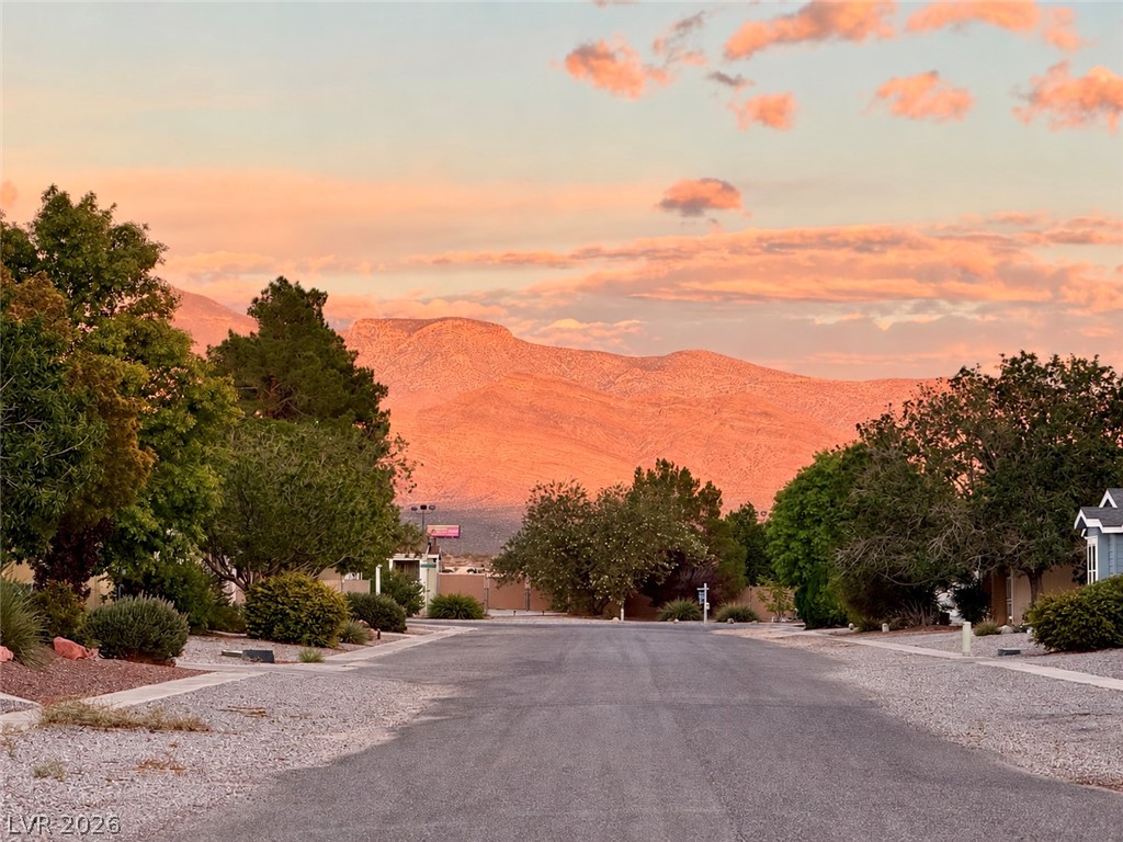 4231 East Winterwood Road Pahrump NV 89048
