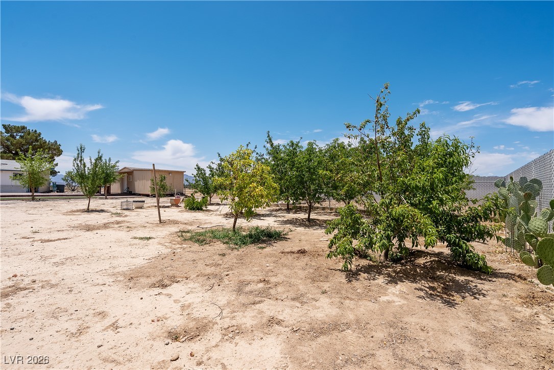 650 Greta Boulevard Pahrump NV 89060
