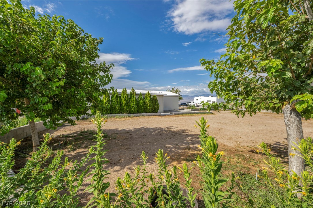 4311 West Betty Avenue Pahrump NV 89060