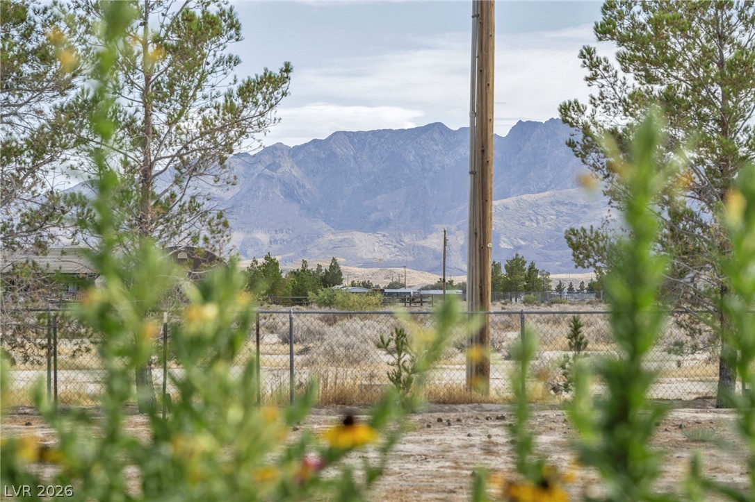 4311 West Betty Avenue Pahrump NV 89060