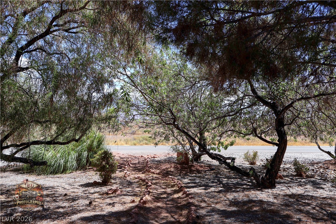 1380 South Happy Lane Pahrump NV 89048