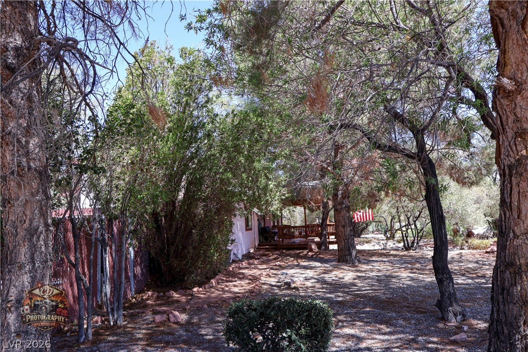 1380 South Happy Lane Pahrump NV 89048