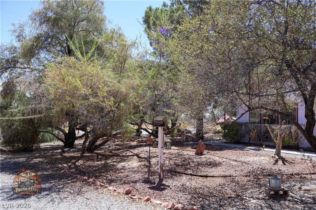 1380 South Happy Lane Pahrump NV 89048