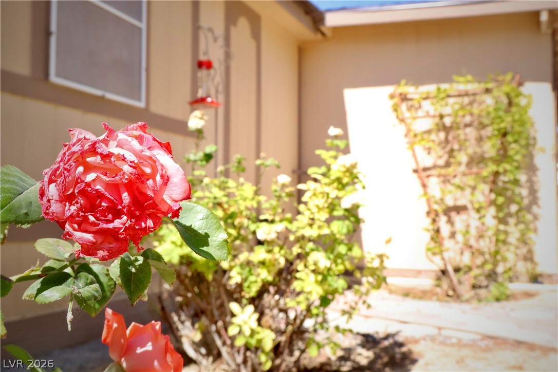4501 East Kellogg Road Pahrump NV 89061
