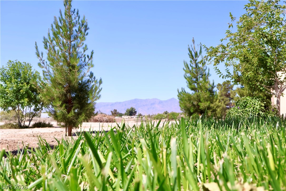 4501 East Kellogg Road Pahrump NV 89061