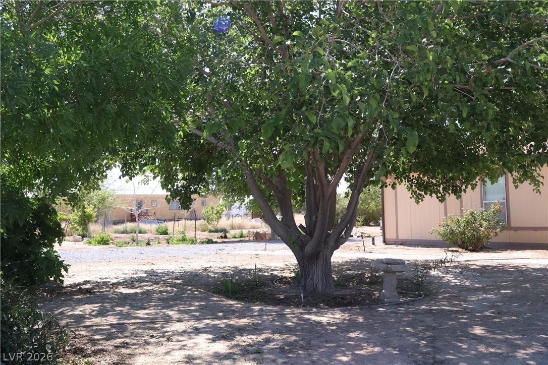 4501 East Kellogg Road Pahrump NV 89061