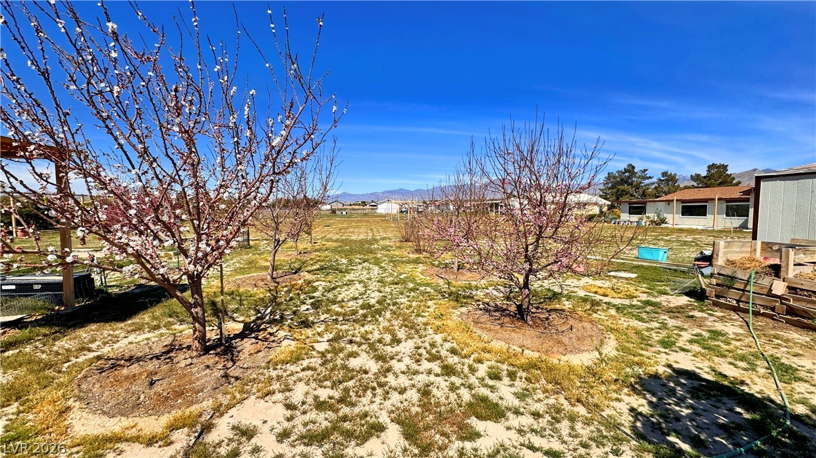 2860 South Rainbow Avenue Pahrump NV 89048
