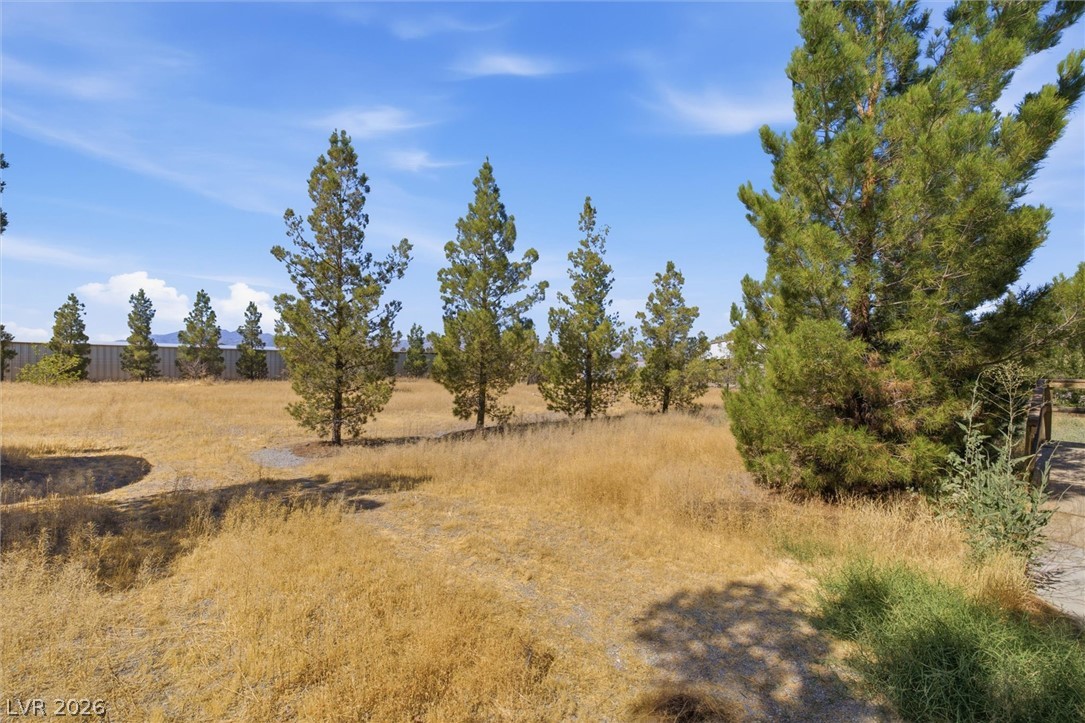 1611 Vondell Drive Pahrump NV 89048