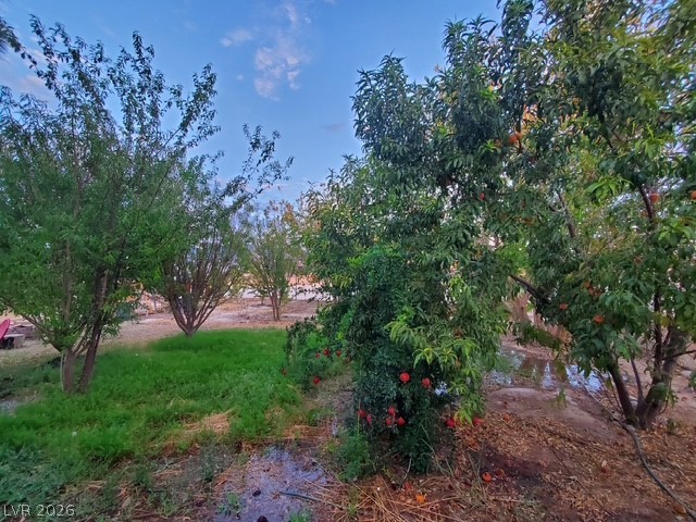 980 West Leffner Drive Pahrump NV 89060