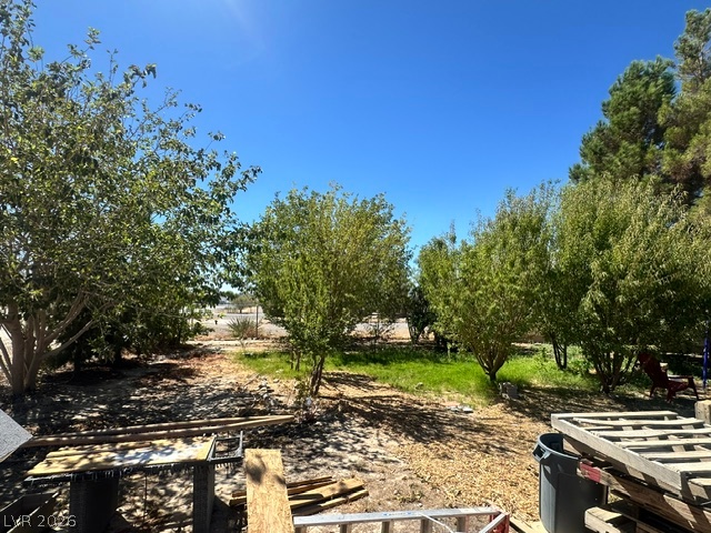 980 West Leffner Drive Pahrump NV 89060