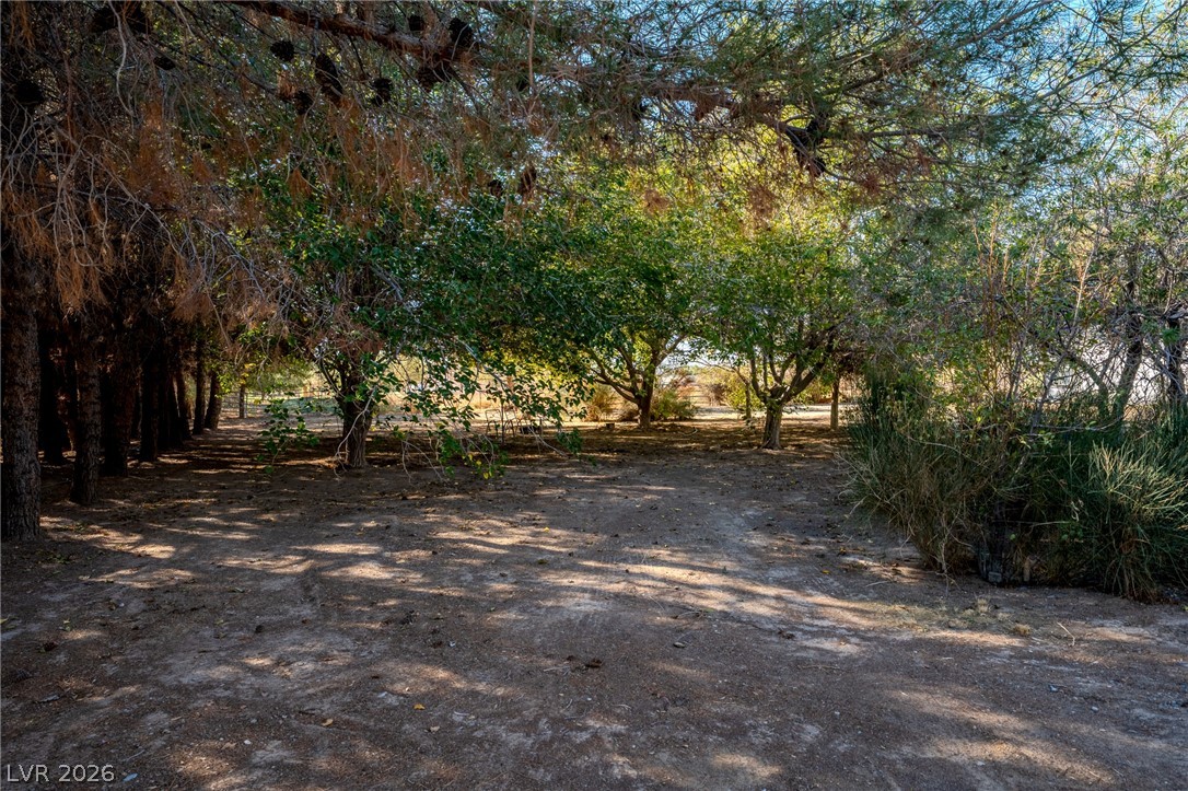4800 Paiute Boulevard Pahrump NV 89061