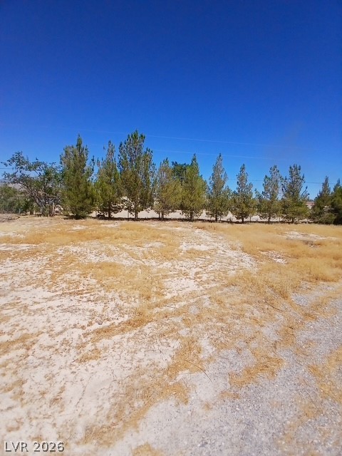 4771 Elizabeth Street Pahrump NV 89048
