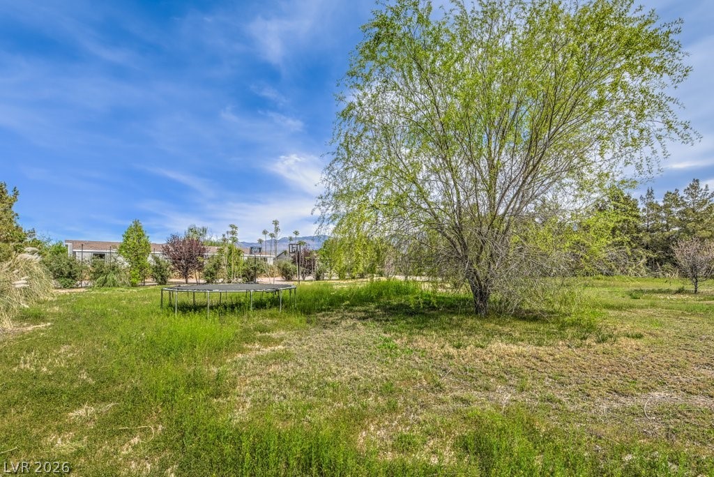 471 Megan Avenue Pahrump NV 89060