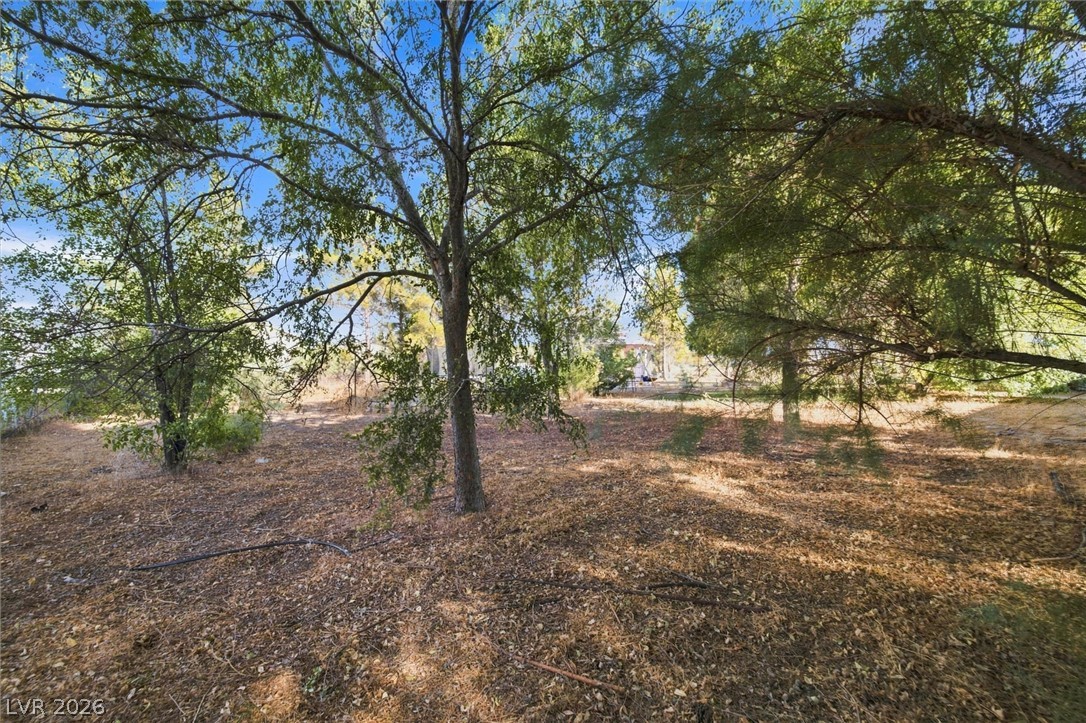 2891 Yucca Terrace Avenue Pahrump NV 89048