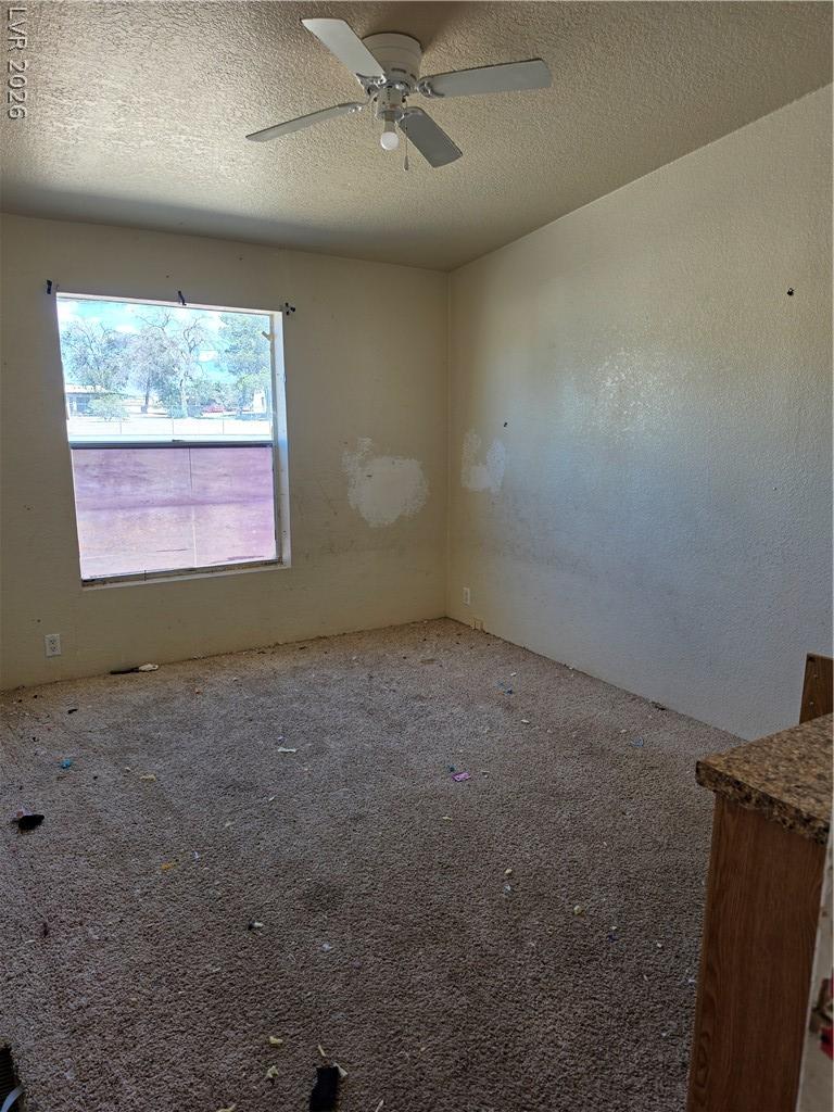 4231 West Wilson Road Pahrump NV 89048
